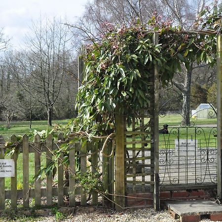 Bed and Breakfast Little Tidebrook Farm à Wadhurst Extérieur photo